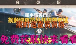 和平精英巡查员最新爆料,游戏内黑幕与整治行动全解析